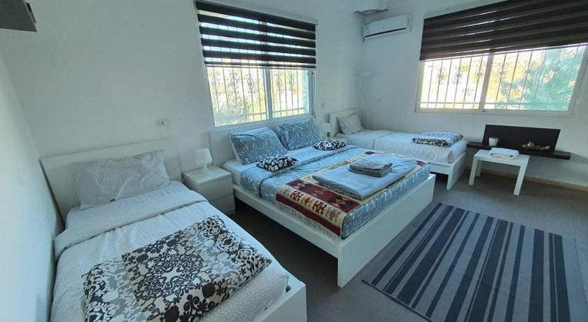 Full Panorama To Archaeological Site Jarash — Hotel in Jerash