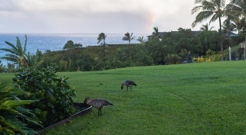 THE CLIFFS AT PRINCEVILLE