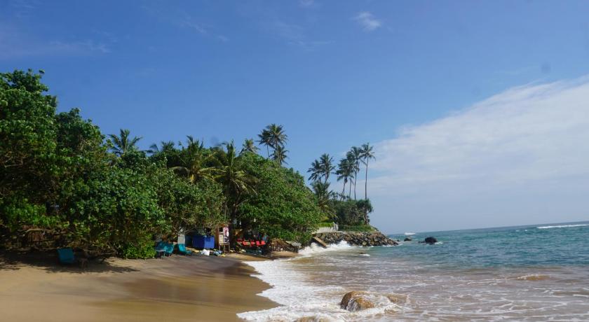 The Reef Weligama photo