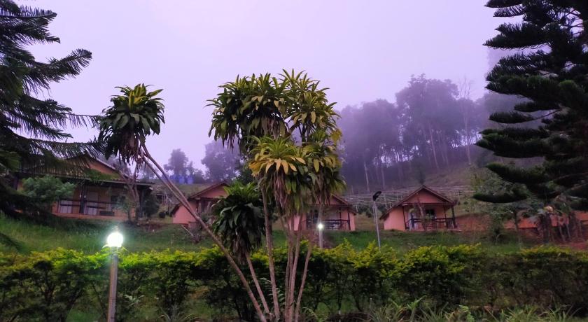 Image of Bungalow with Mountain View 10