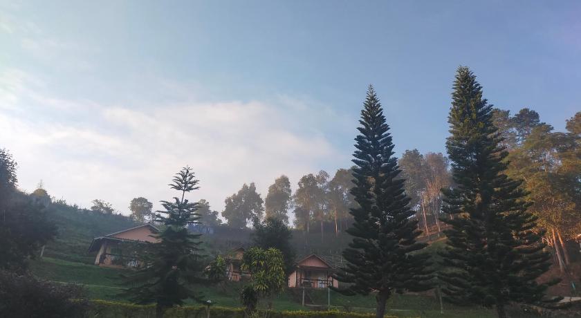 Image of Bungalow with Mountain View 14