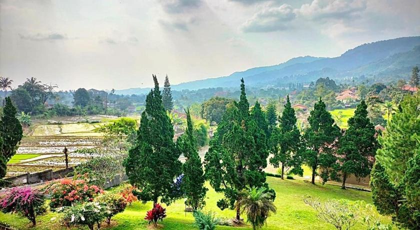 a lush green hillside with trees and shrubbery, Grha Kasih in Puncak