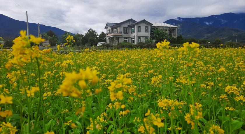 Ode to Mansions B&B photo