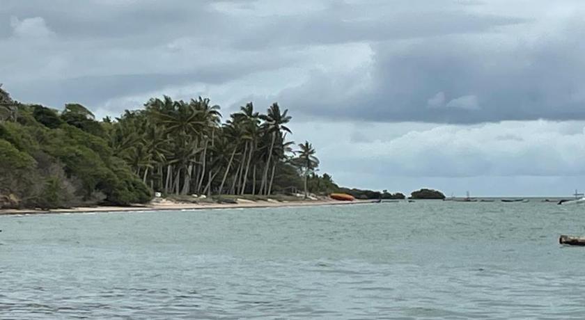 Ebony beach photo
