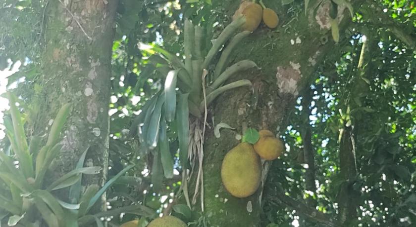 Cantinho do Sossego — Hotel in Ilha Grande