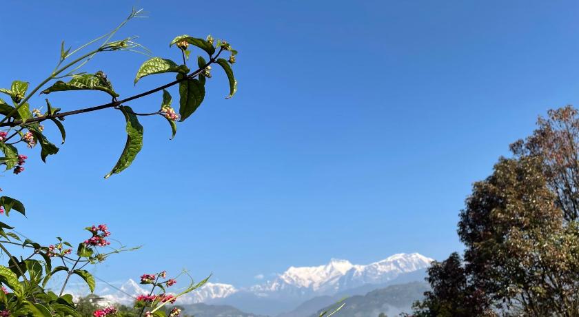 Rupa View Guest house photo