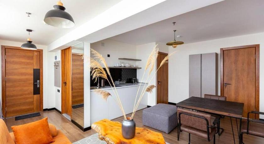 Luxury Ski Resort 2-BR in Gudauri ( Family Suite ) photo