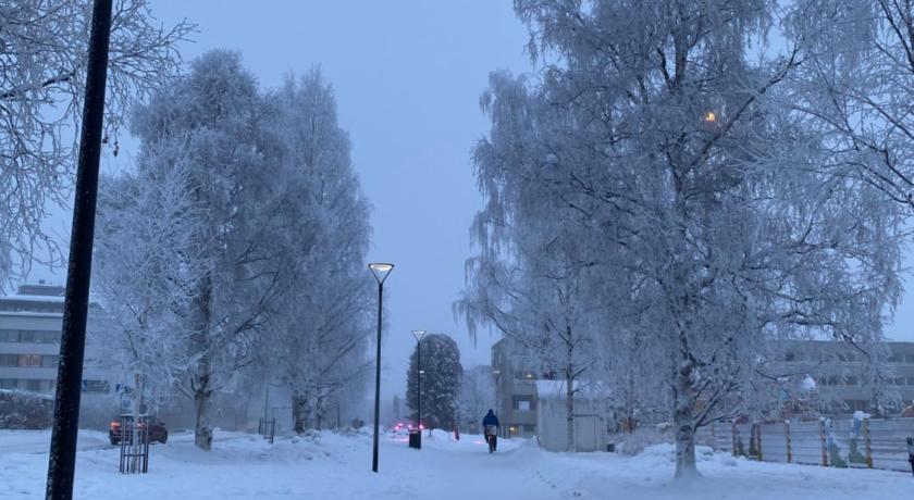 Wild about Lapland photo
