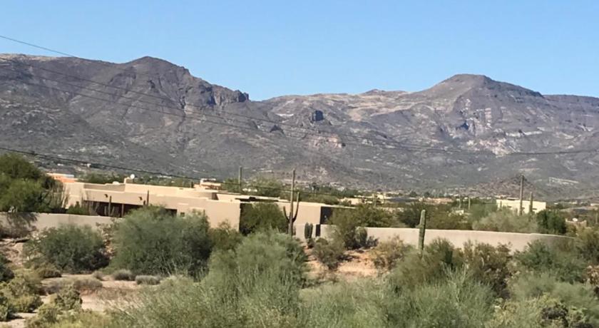 a herd of animals walking across a lush green field, Spur Cross Inn in Phoenix (AZ)
