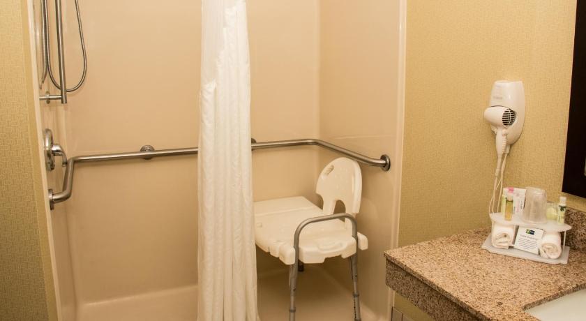 Holiday Inn Express Hotel & Suites Saginaw photo