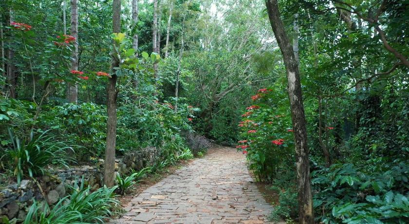Blue Valley Estate-12 Acre Forest-Silver Oak-Villa photo