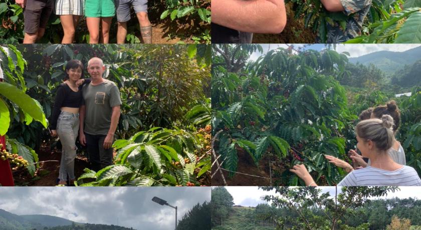 OVi coffee farmstay Đa Lat