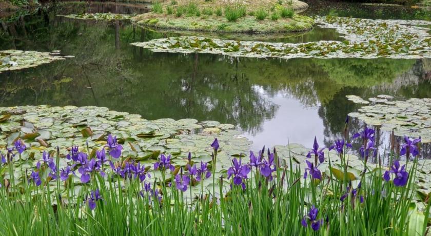 Aramatai Gardens photo