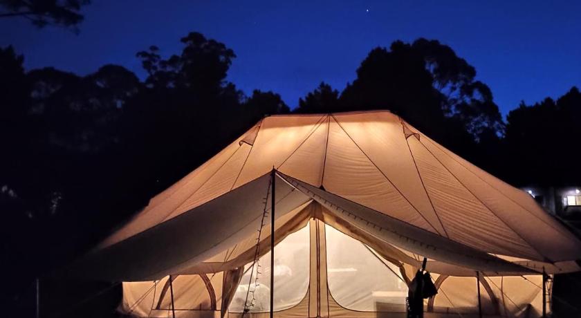 Glamping at Zeehan Bush Camp photo