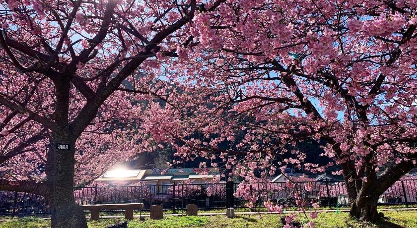 伊豆 Shobuzawa Log 4星级 住宿 客房