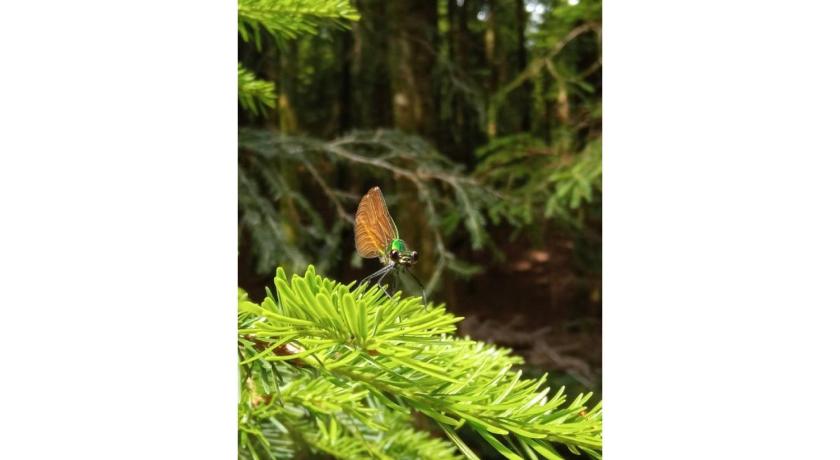 Trégnac MAGNIFIQUE Location au bout de la route 4-Star Single Room room