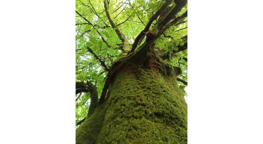 Trégnac MAGNIFIQUE Location au bout de la route 4-Star Single Room exterior