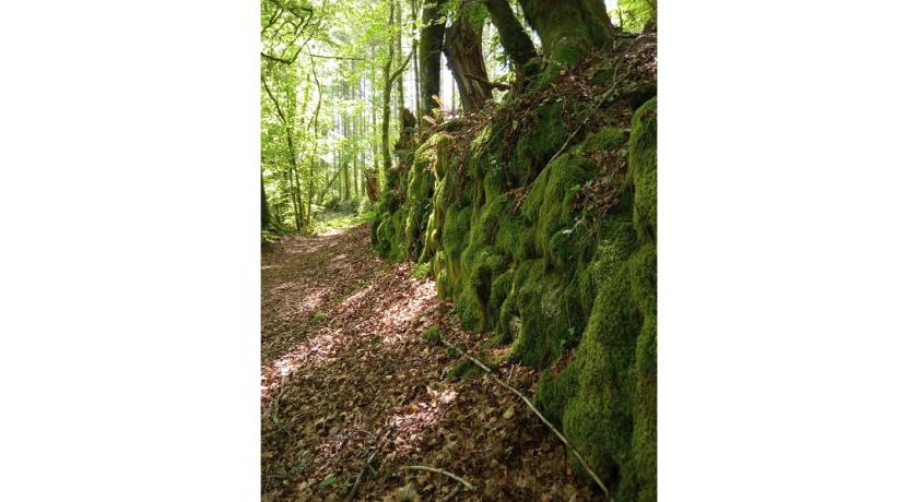 Trégnac MAGNIFIQUE Location au bout de la route 4-Star Single Room lobby