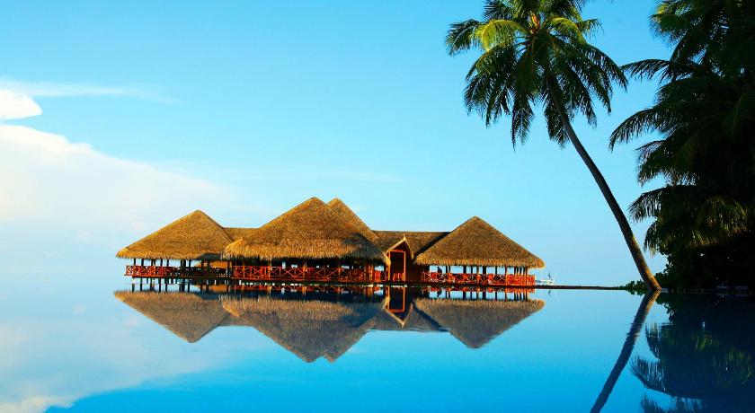 a度假酒店 Medhufushi Island Resort 预订 21优惠 点评 地址 a度假酒店 Medhufushi Island Resort 预订 21优惠 点评 地址