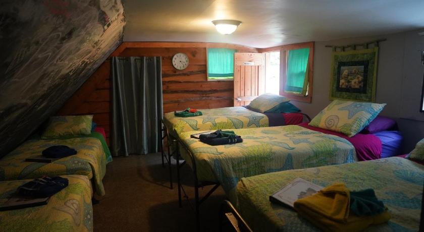 Single Bed in Mixed Dormitory Room with Shared Bathroom , Nauti Otter Inn and Yurt Village in Seward (AK)