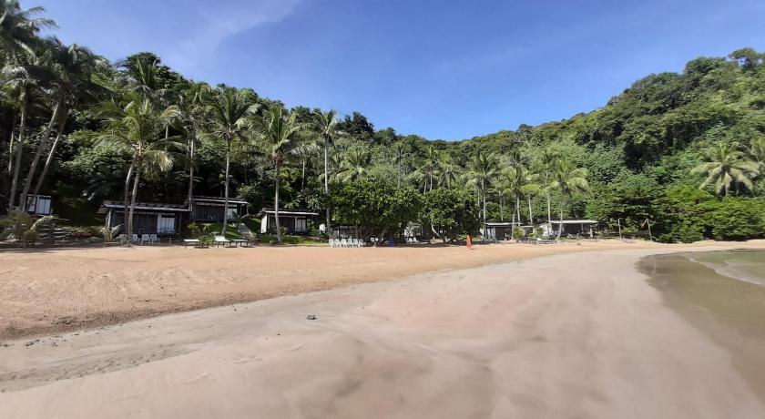 a sandy beach with palm trees and palm trees, Duli Beach Resort in Palawan
