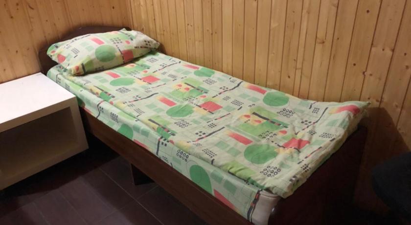 Hotel Snegiri photo