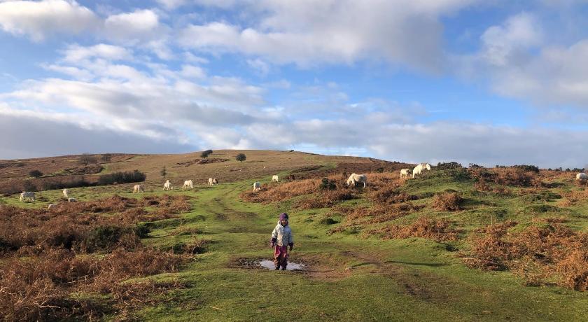 赫里福德 Rural self contained cosy pod house. 4星级 单人房 泳池