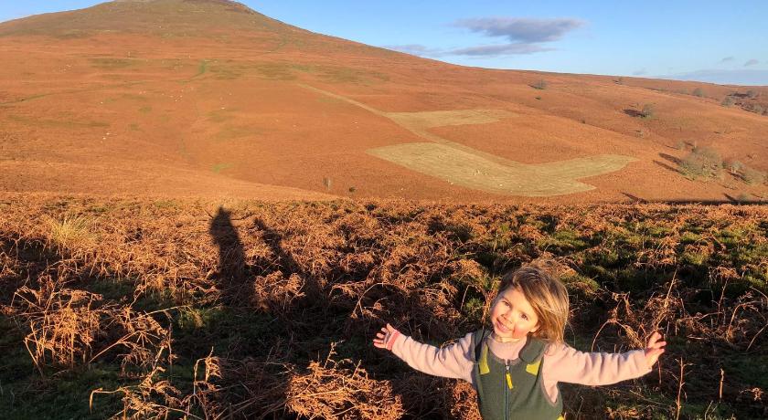 赫里福德 Rural self contained cosy pod house. 4星级 单人房 大堂