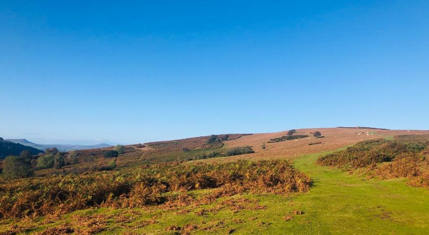 赫里福德 Rural self contained cosy pod house. 4星级 单人房 客房