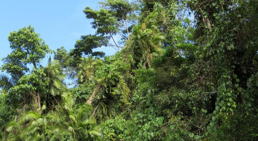 Daintree Rainforest Retreat