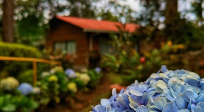 Vista Turrialba Lodge — Hotel in Turrialba