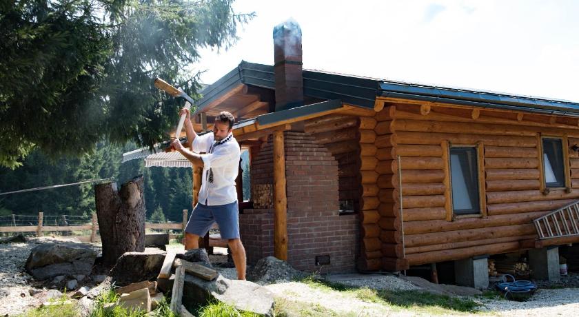 Unique chalet in Maramures nature fully equipped - image 3