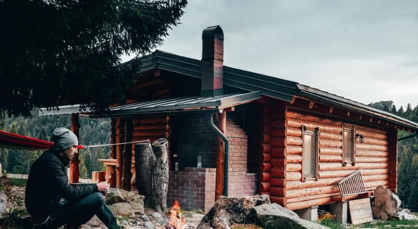 Unique chalet in Maramures nature fully equipped - image 4