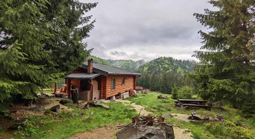 Unique chalet in Maramures nature fully equipped - image 14