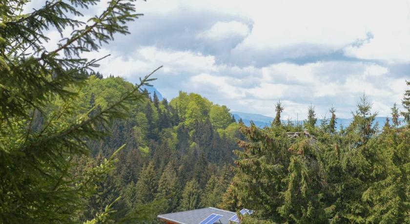 Unique chalet in Maramures nature fully equipped - image 6