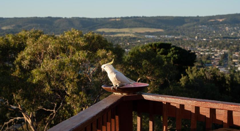 Kinoie Mornington - OCEANVIEW photo
