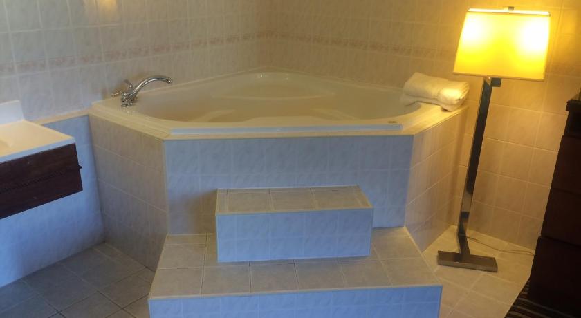 Travel Inn and Suites photo