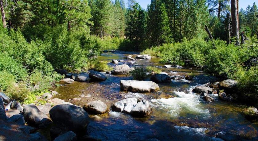 Beautiful CabinGated ParkPinecrest & Dodge Ridge photo