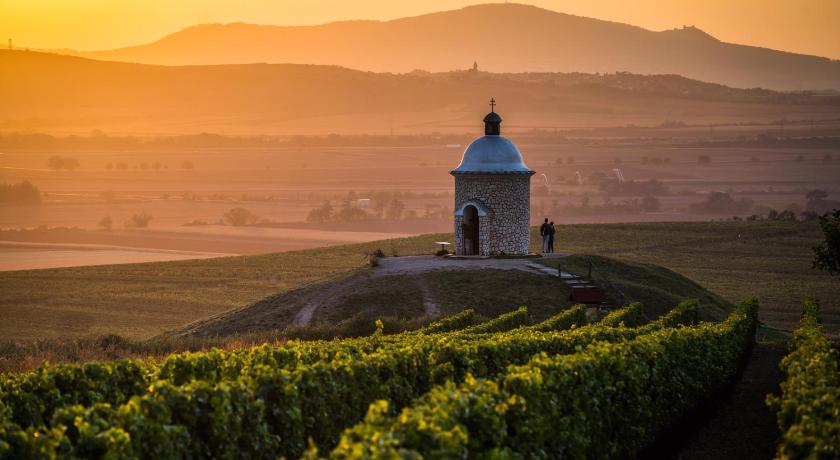 Vinoza - ubytovani a vinny sklep Velke Bilovice Rulandova