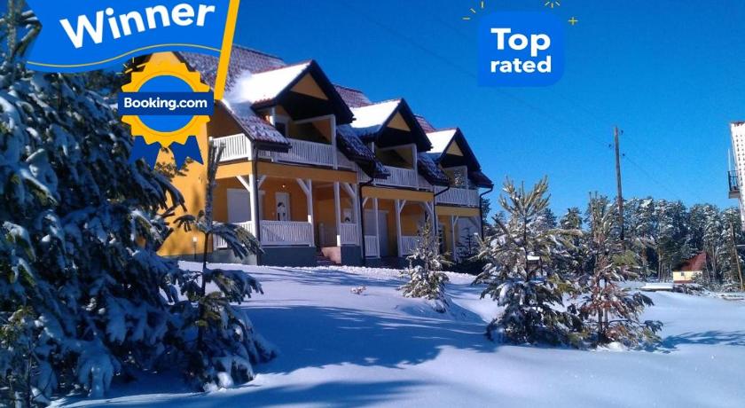 Villa Ducic — Hotel in Zlatibor