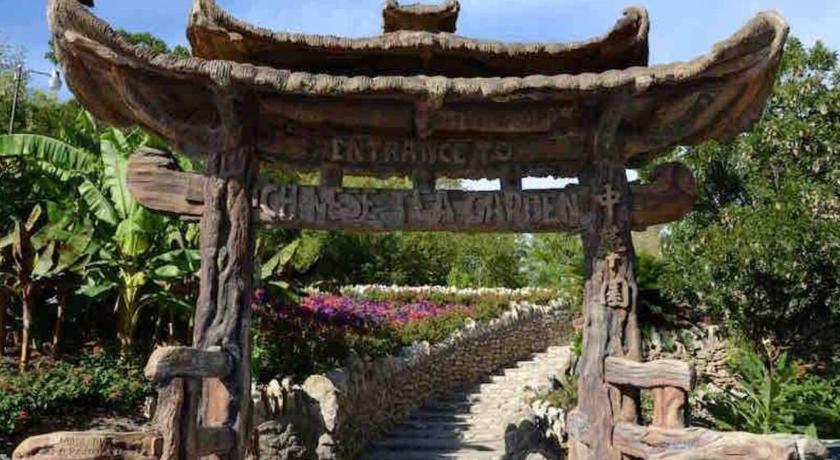 サンアントニオ La Mariposa San Antonio - New! 5 min to Downtown! 4つ星 宿泊施設 スイート