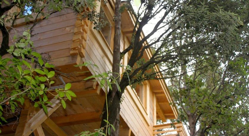 Les Cabanes Dans Les Bois