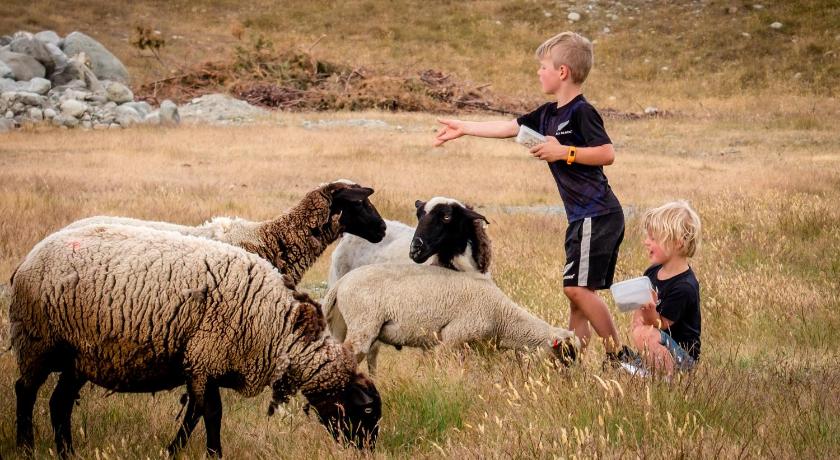Highlands Farm Stay photo