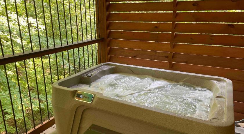 柏林 Cricket Hill Treehouse D by Amish Country Lodging 3星级 住宿 泳池