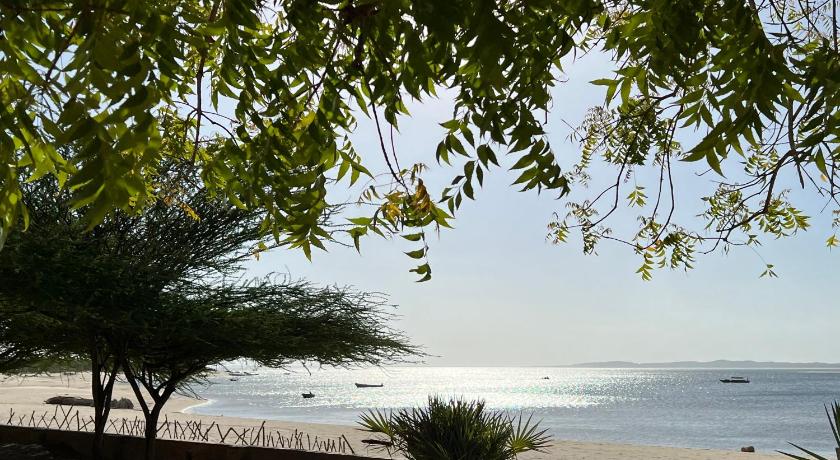 Mangrove House photo