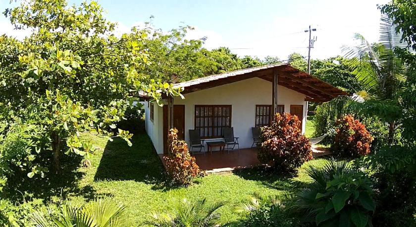 Hotel Three Monkeys photo