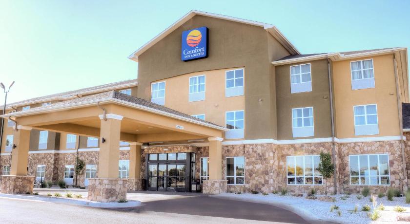 Comfort Inn and Suites Artesia photo