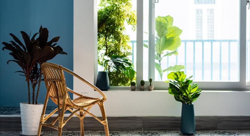 a chair and a plant in front of a window, Co Tu's Homestay - Phan Thiet in Phan Thiet