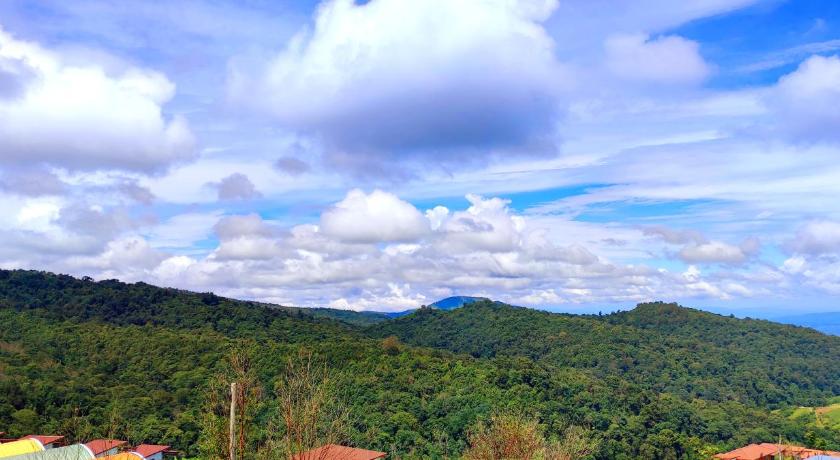 ไร่รุ่งอรุณ ภูทับเบิก photo