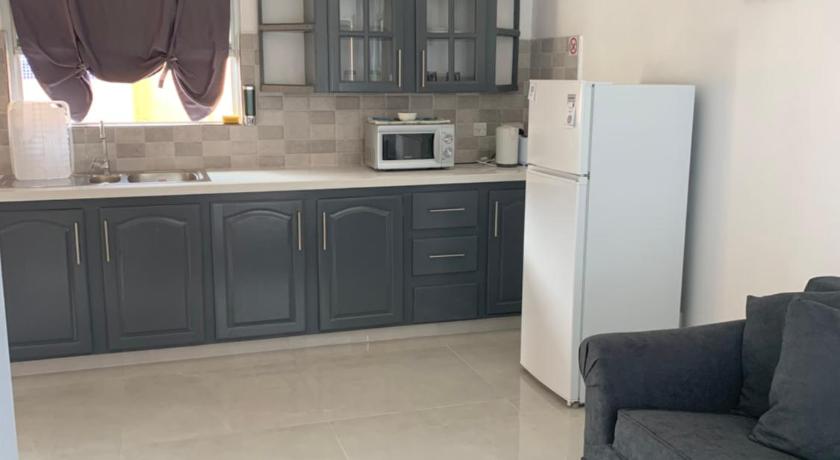 Image of Deluxe One-Bedroom Apartment 7